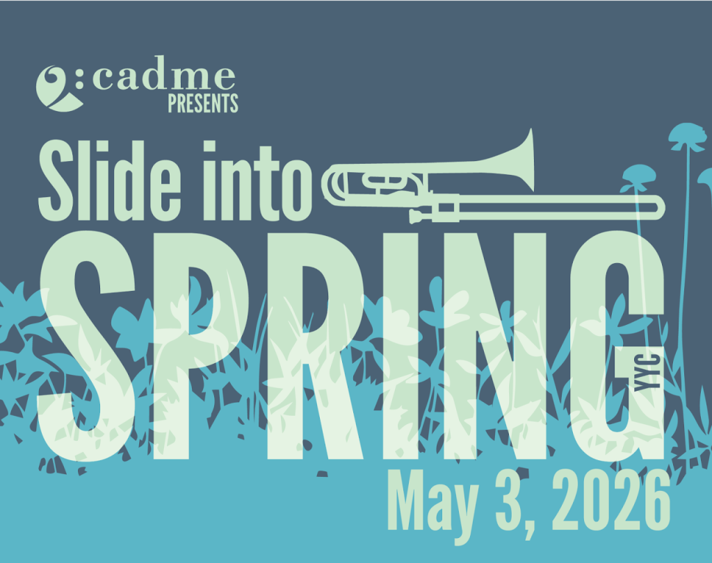 Poster for Slide into Spring